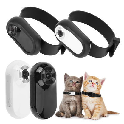 Pet Camera Collar — See the World Through Their Eyes