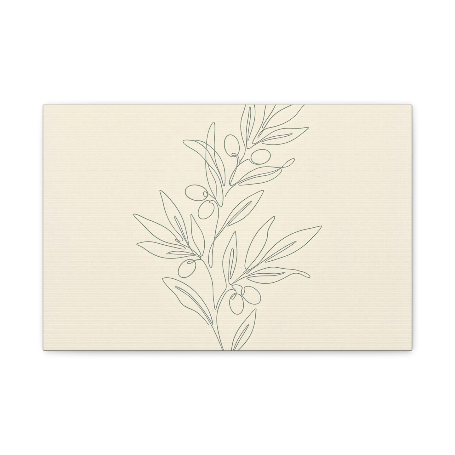 Olive Branch Minimalist Wall Art Canvas