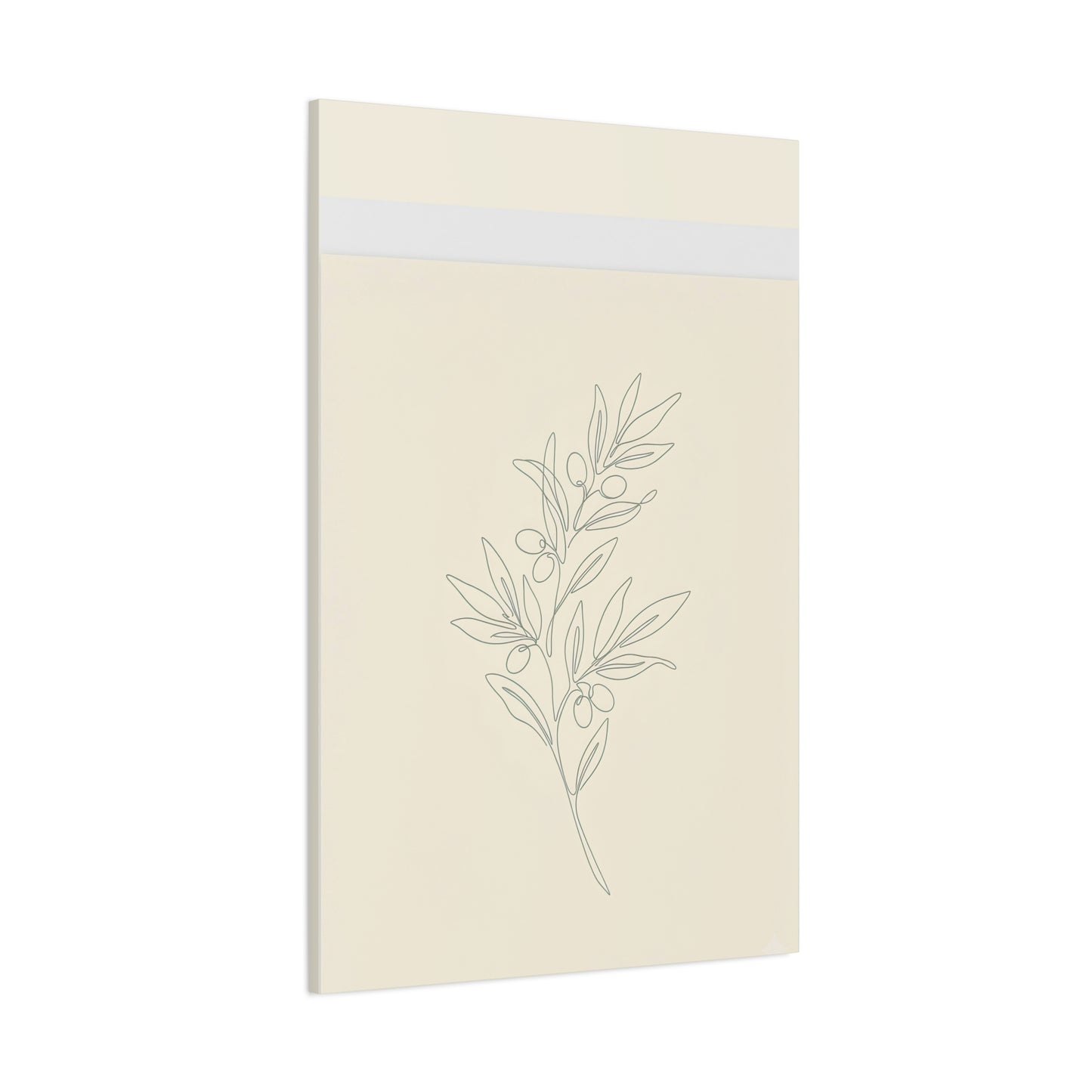 Olive Branch Minimalist Wall Art Canvas