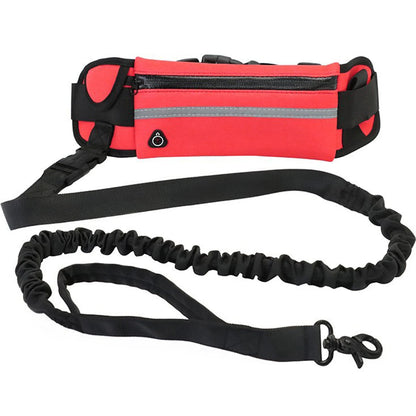 Hands-Free Dog Leash — Walk, Run & Stay in Control