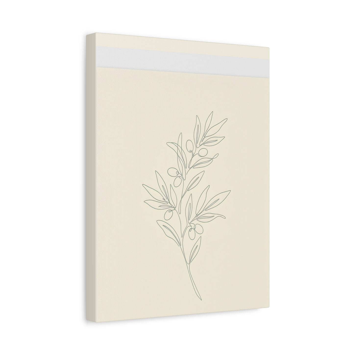 Olive Branch Minimalist Wall Art Canvas