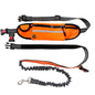 Hands-Free Dog Leash — Walk, Run & Stay in Control