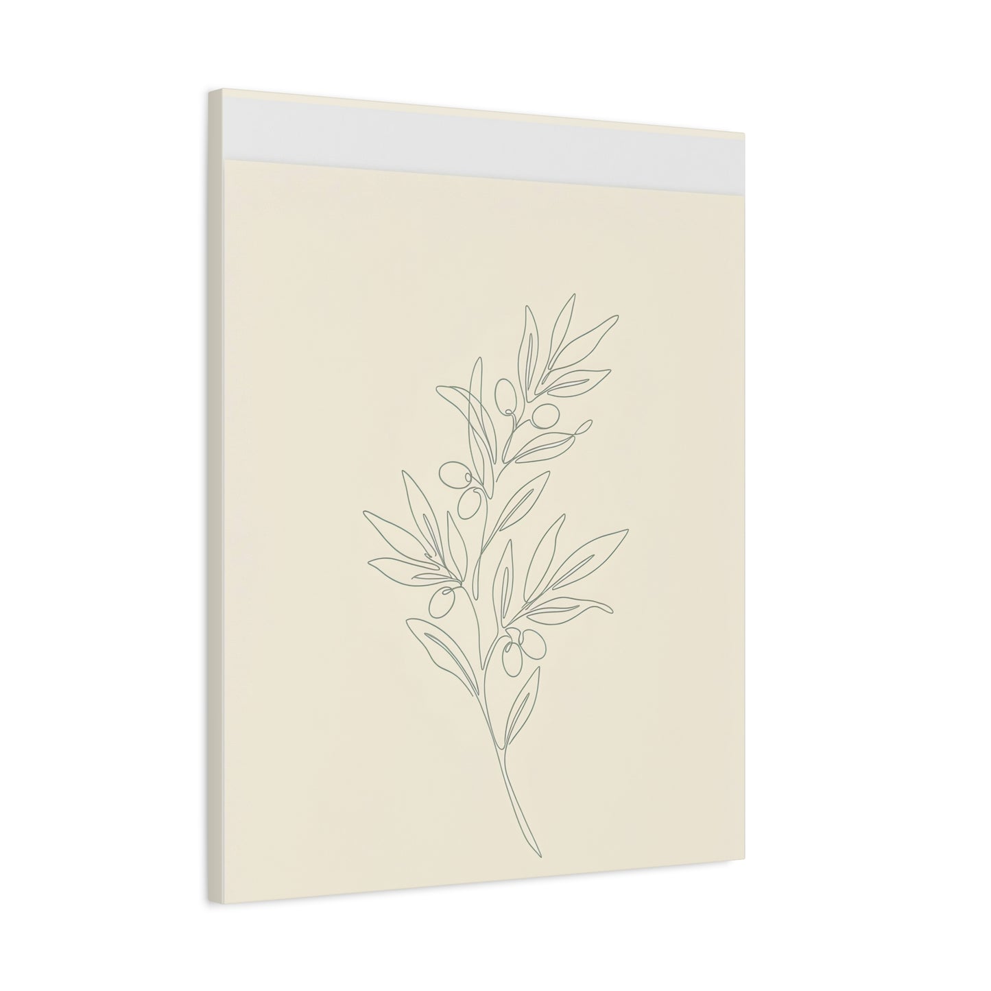 Olive Branch Minimalist Wall Art Canvas