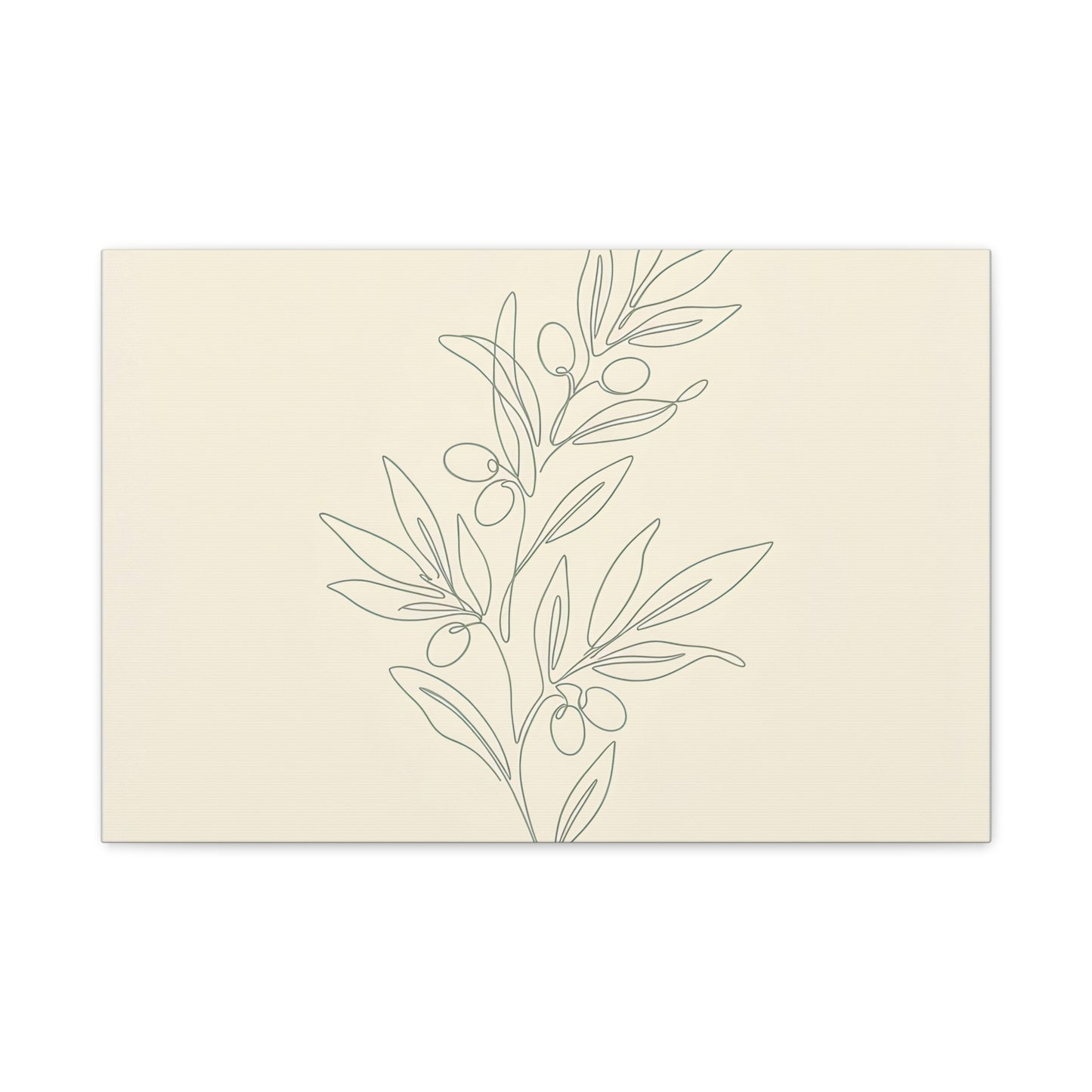 Olive Branch Minimalist Wall Art Canvas