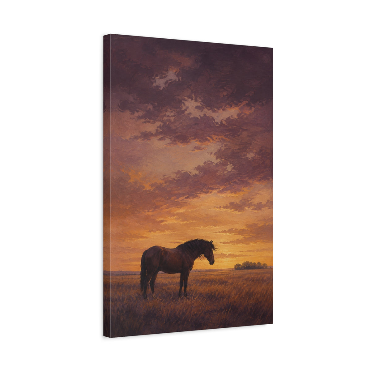 Last Light, Open Field canvas print — A horse stands in an open field beneath a warm sunset sky.