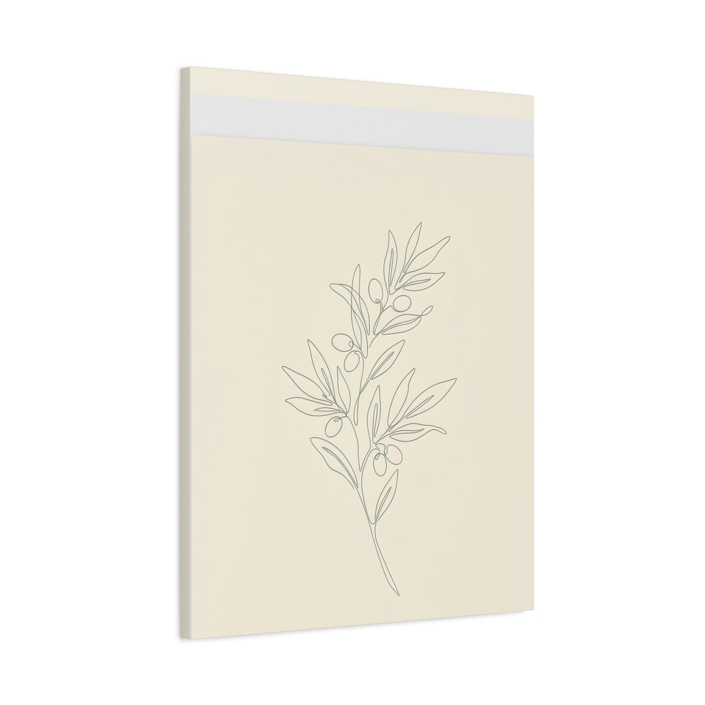 Olive Branch Minimalist Wall Art Canvas