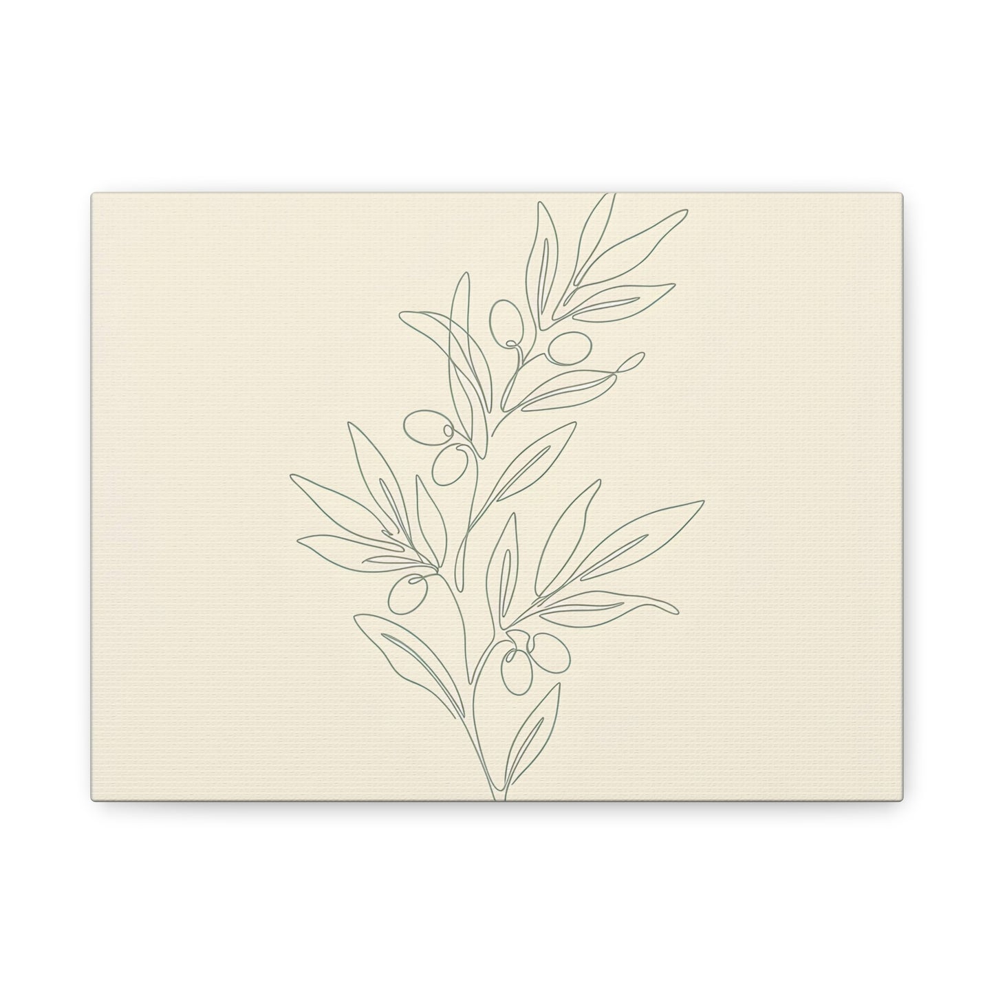 Olive Branch Minimalist Wall Art Canvas