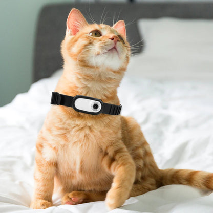 Pet Camera Collar — See the World Through Their Eyes
