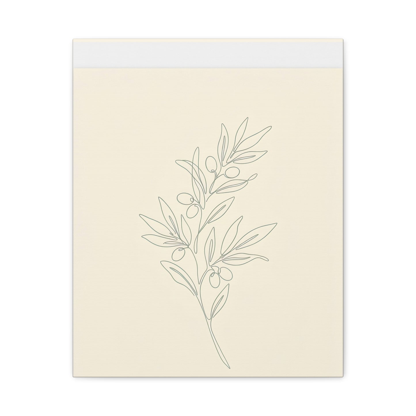 Olive Branch Minimalist Wall Art Canvas