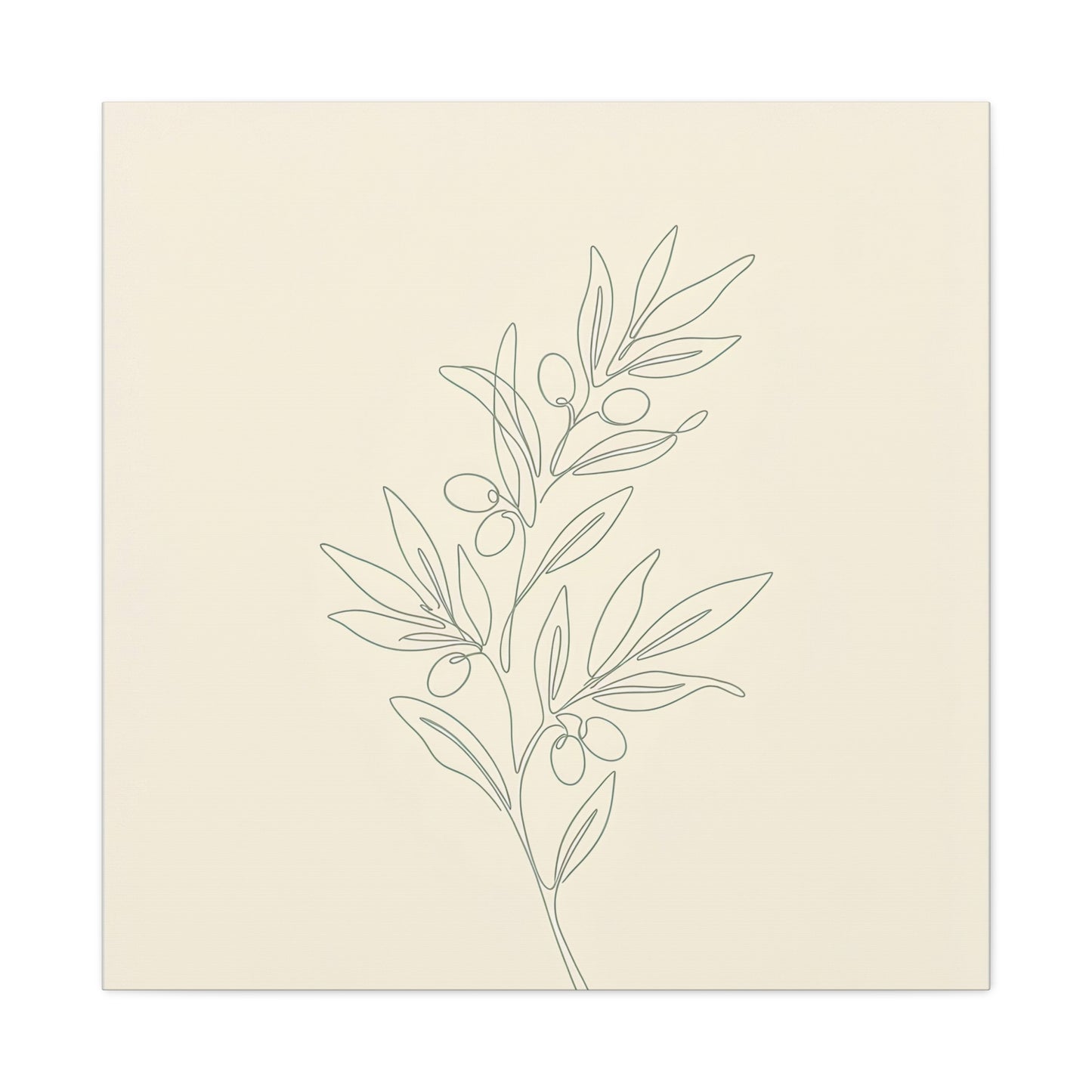 Olive Branch Minimalist Wall Art Canvas