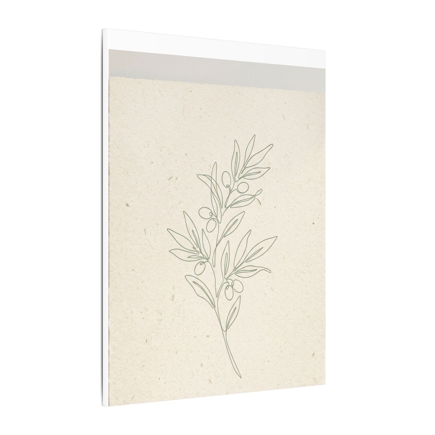 Olive Branch Minimalist Matte Canvas Wall Art