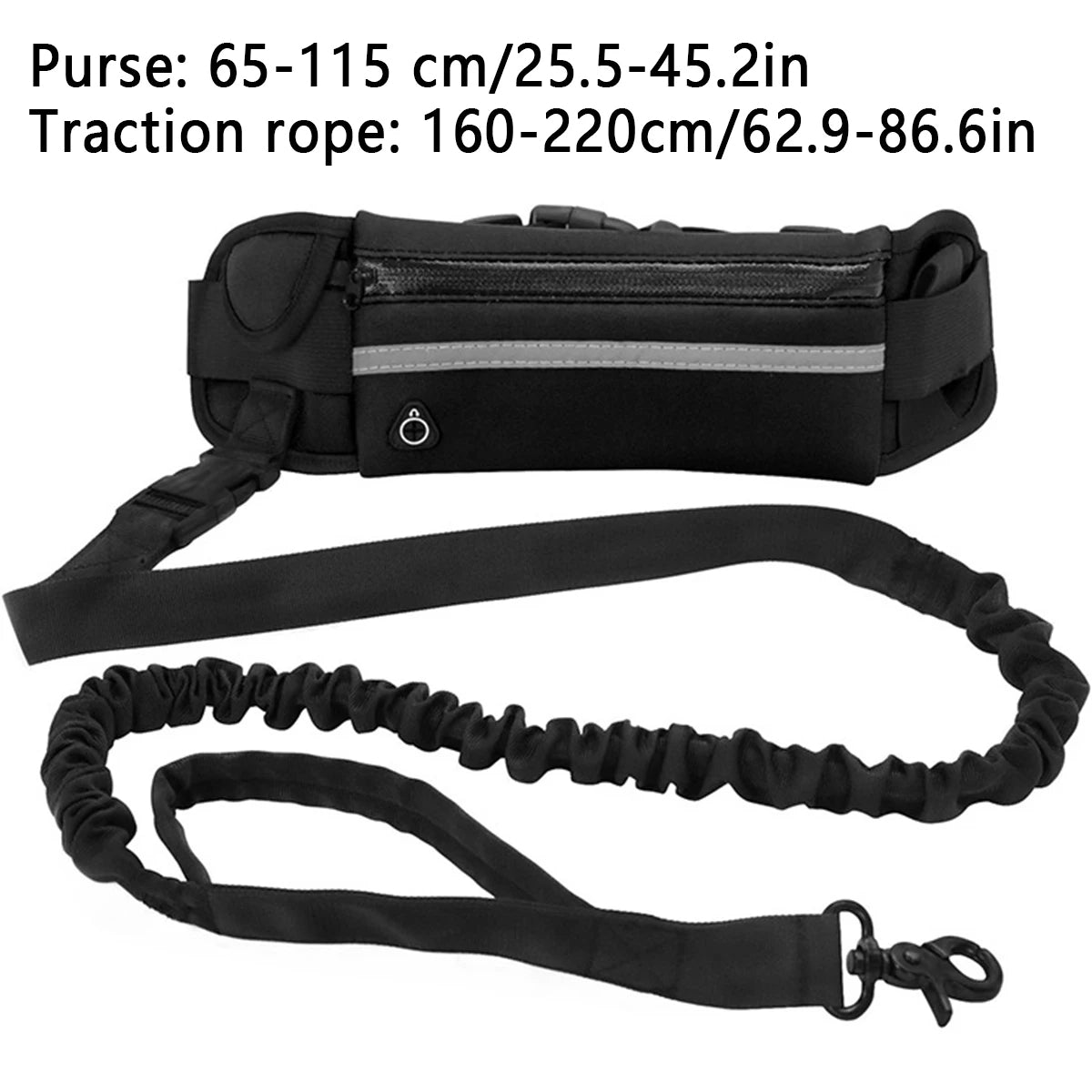 Hands-Free Dog Leash — Walk, Run & Stay in Control