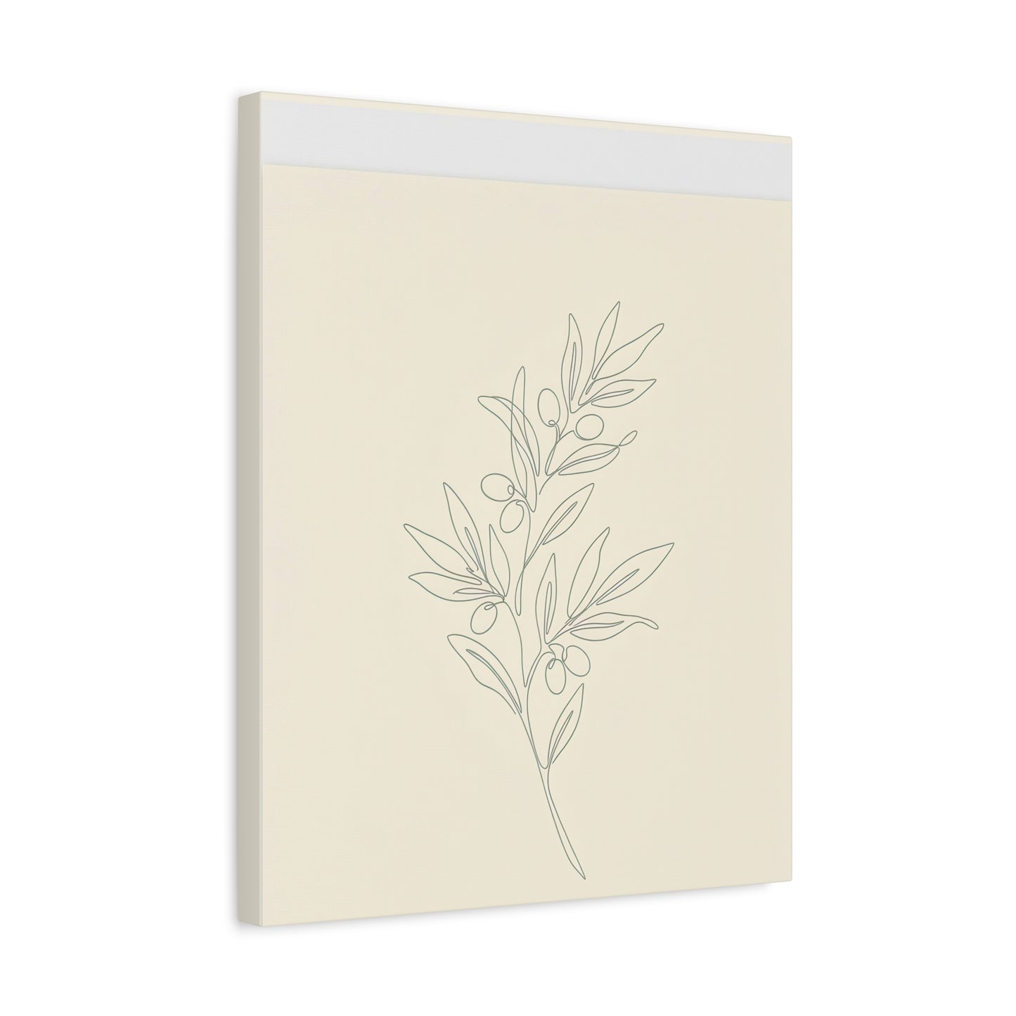 Olive Branch Minimalist Wall Art Canvas