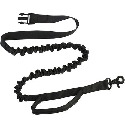 Hands-Free Dog Leash — Walk, Run & Stay in Control