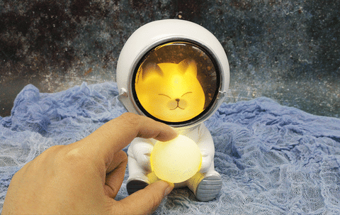 Astronaut Pet LED Night Light — Adorable Glow for Any Room