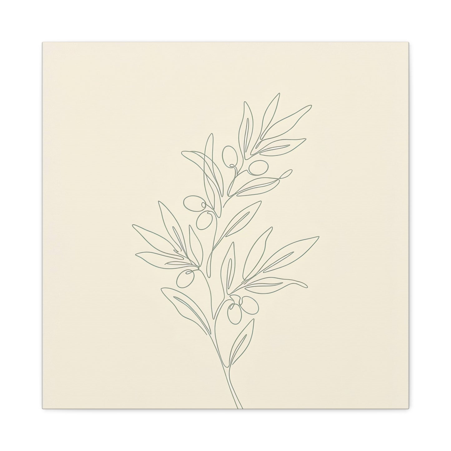 Olive Branch Minimalist Wall Art Canvas