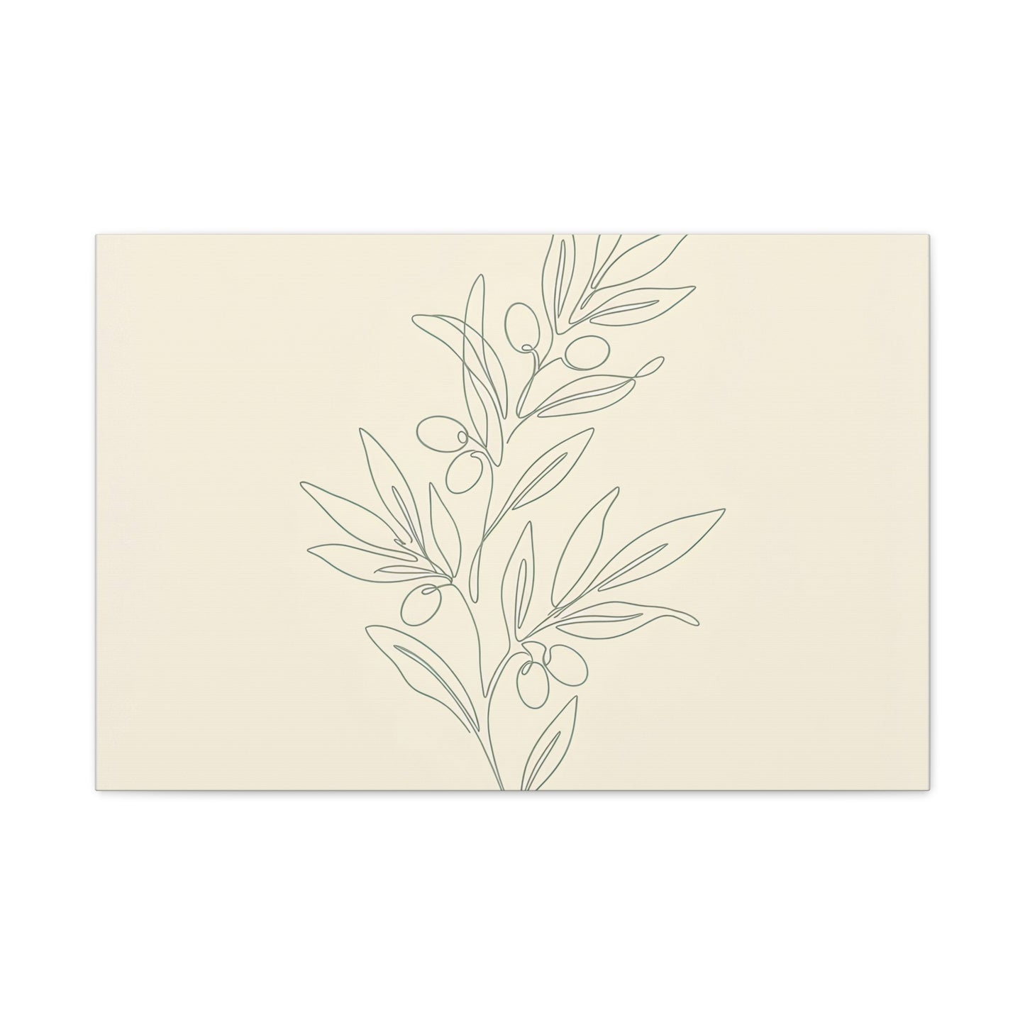Olive Branch Minimalist Wall Art Canvas