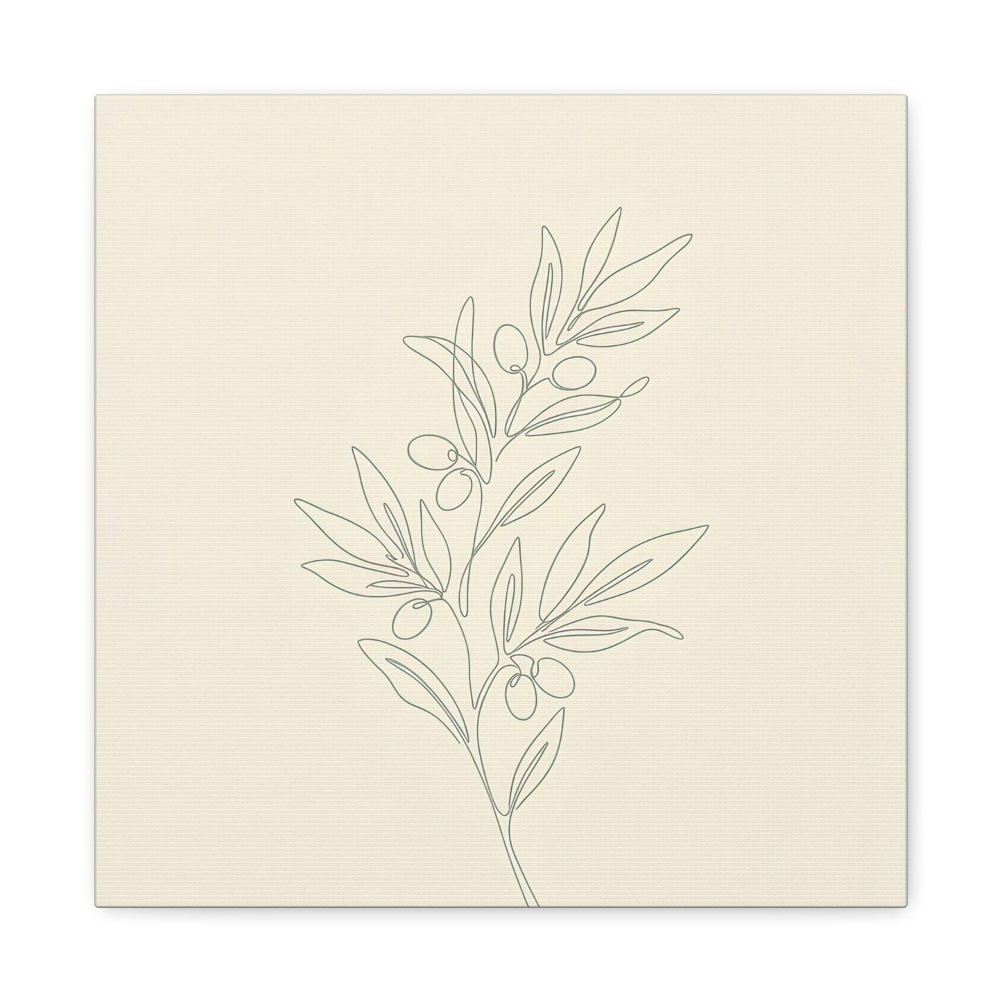 Olive Branch Minimalist Wall Art Canvas