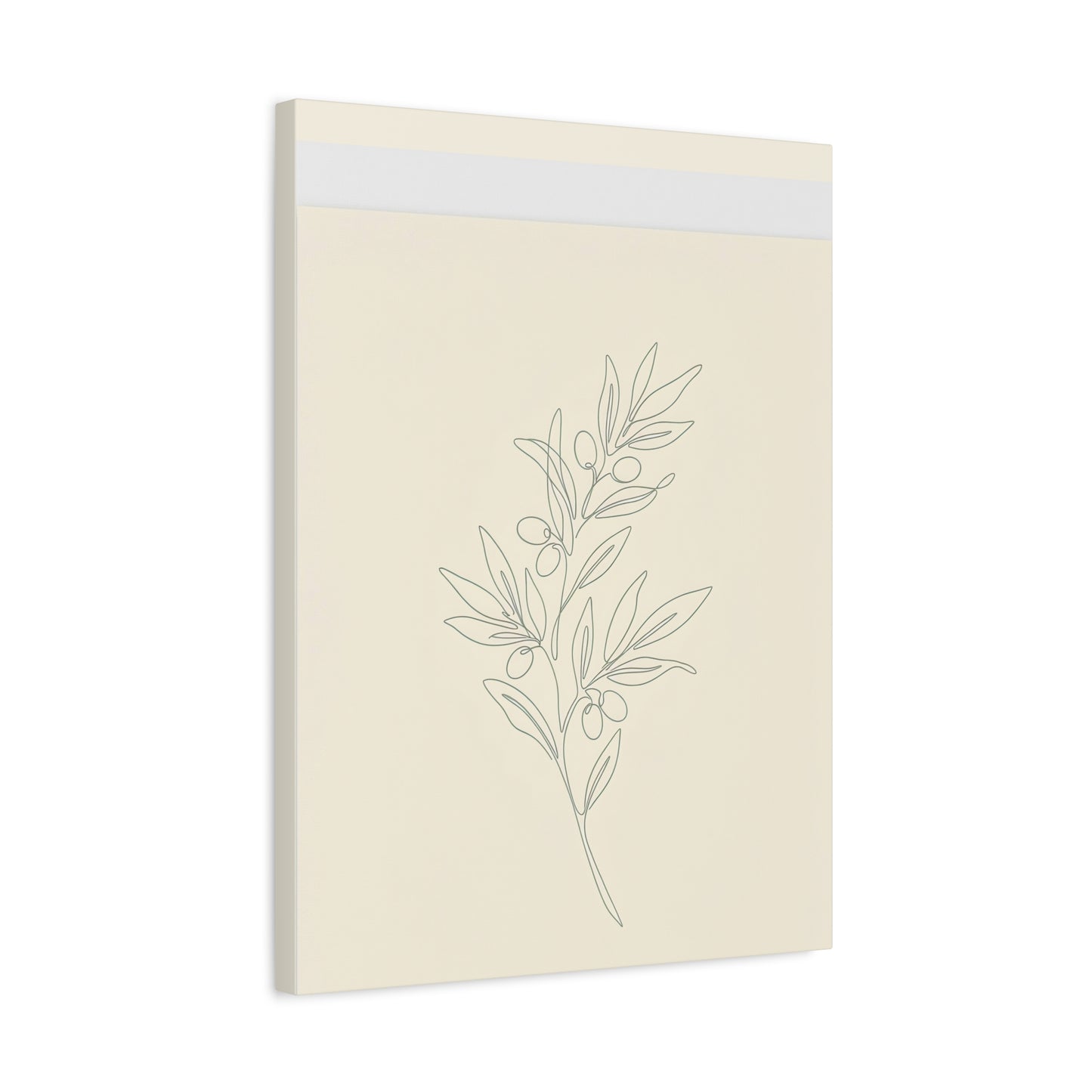 Olive Branch Minimalist Wall Art Canvas