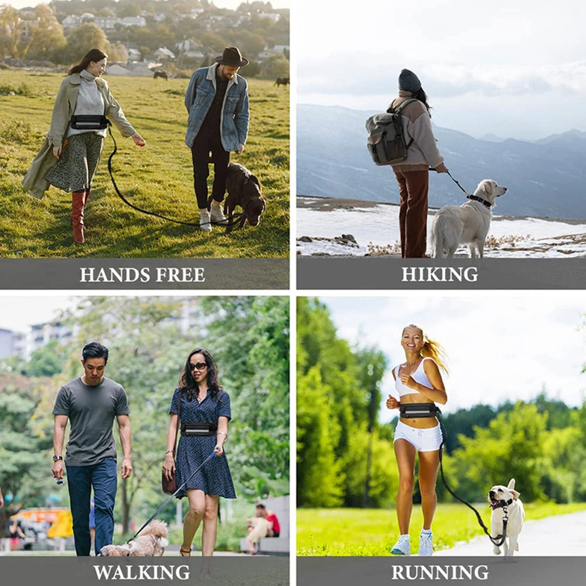 Hands-Free Dog Leash — Walk, Run & Stay in Control