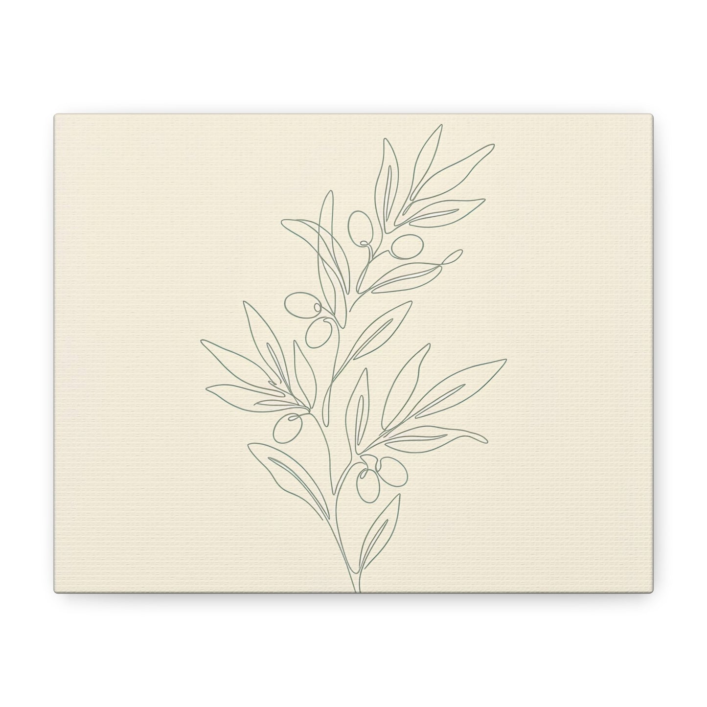 Olive Branch Minimalist Wall Art Canvas