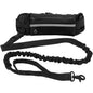 Hands-Free Dog Leash — Walk, Run & Stay in Control