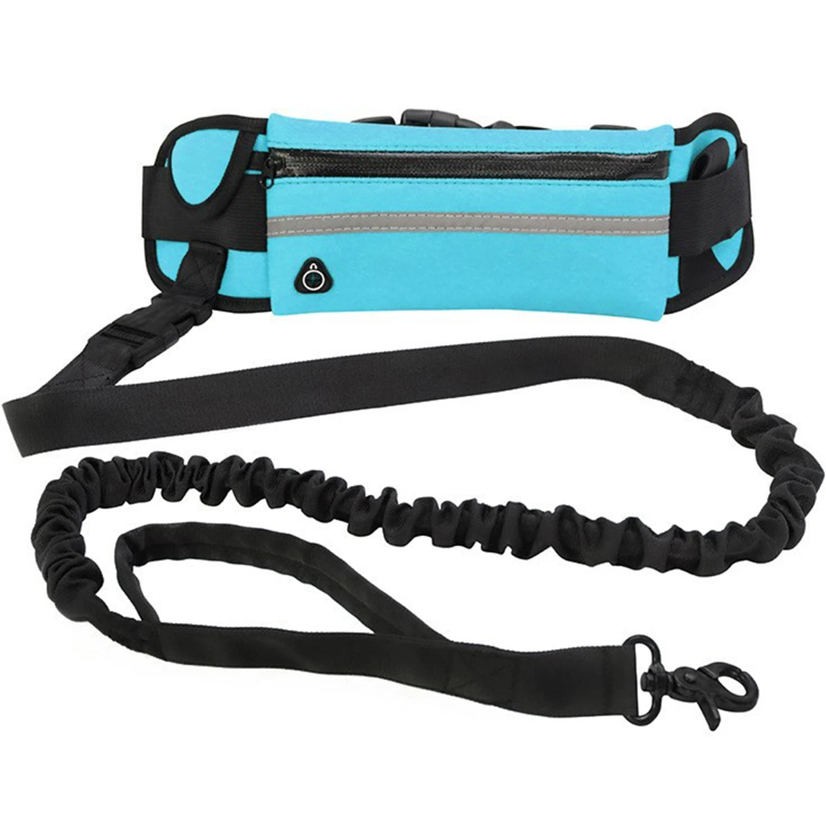 Hands-Free Dog Leash — Walk, Run & Stay in Control