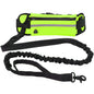 Hands-Free Dog Leash — Walk, Run & Stay in Control