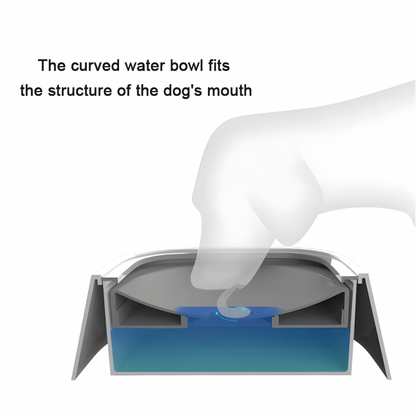 Anti-Spill Dog Water Bowl — No More Wet Floors
